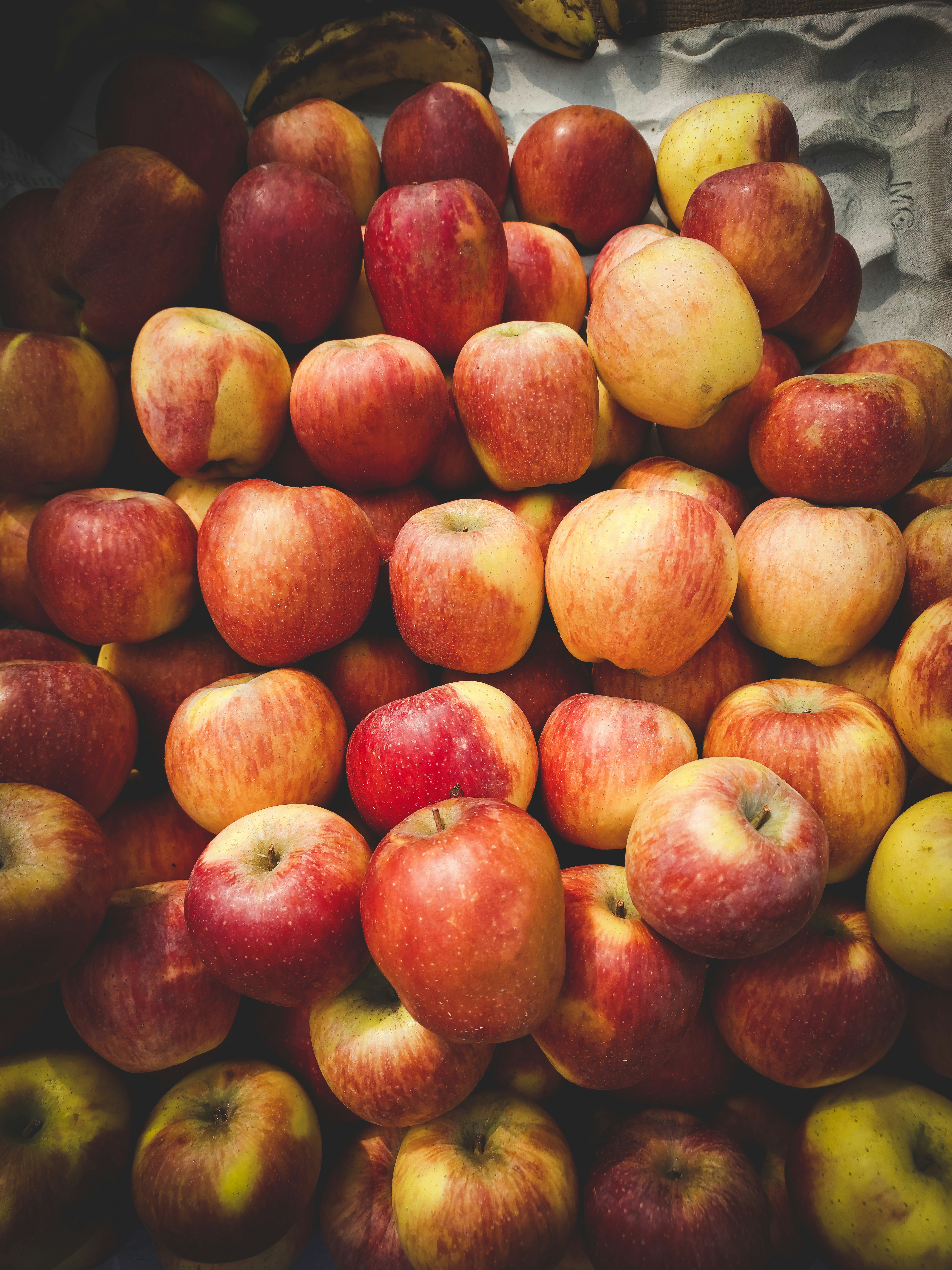 Fresh Apple