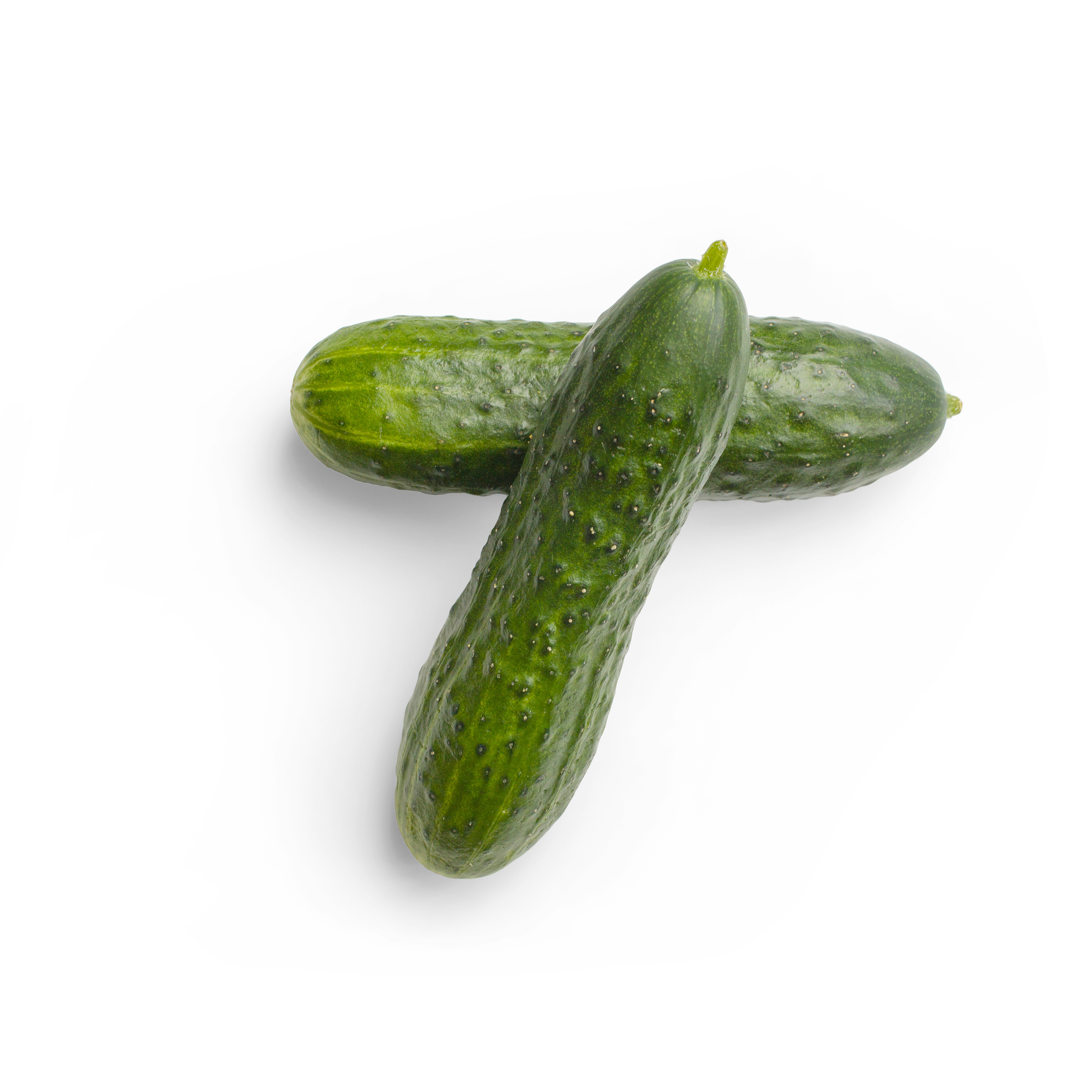 Fresh cucumber