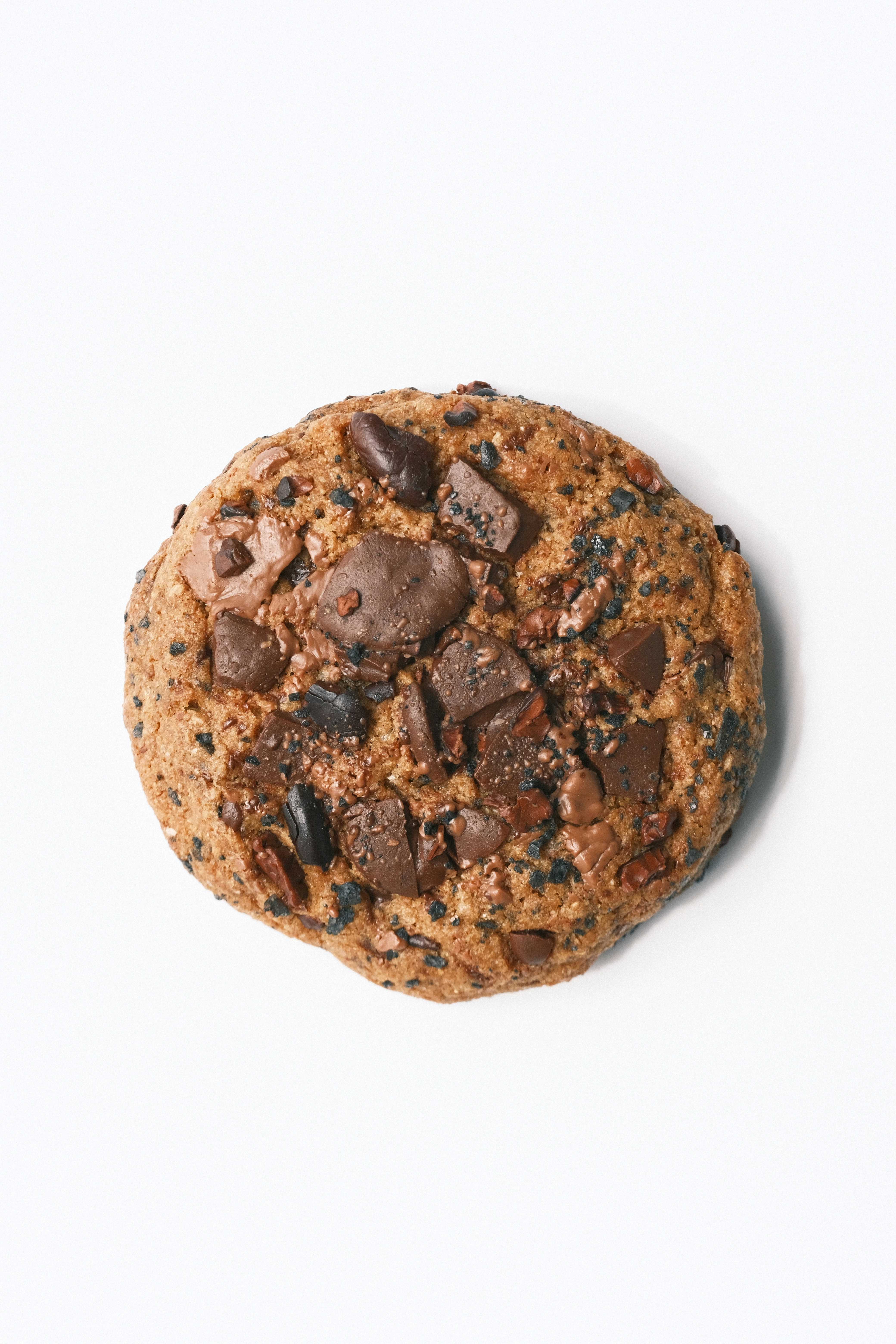 Biscuit